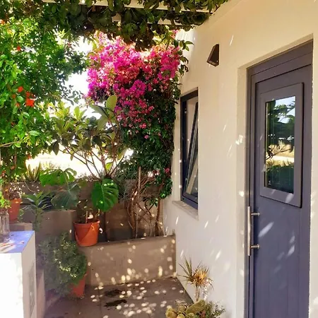 Zenergy - Guest house