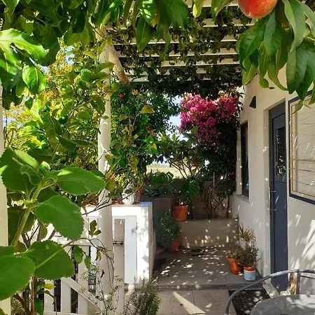 Zenergy - Pensión 3*