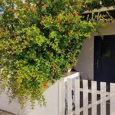 Zenergy - בית הארחה 3*